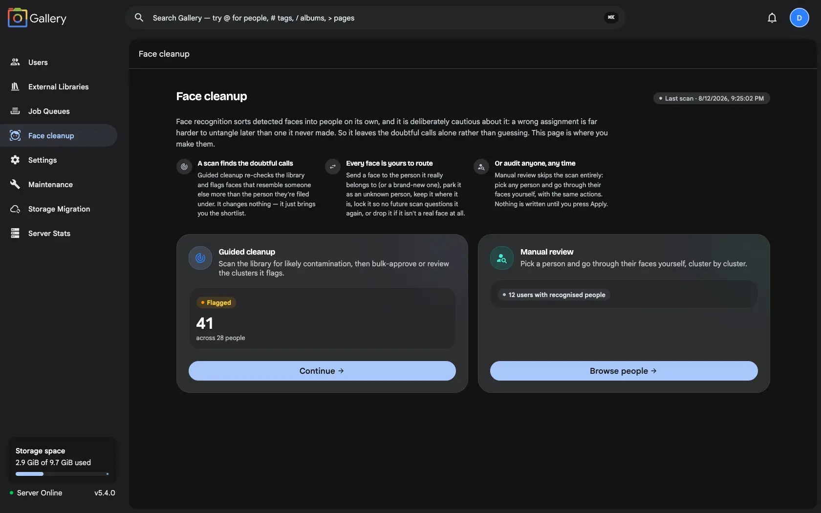 The Gallery Face Cleanup overview, offering a choice between Guided cleanup — showing 41 flagged faces — and Manual review across 12 users with recognised people